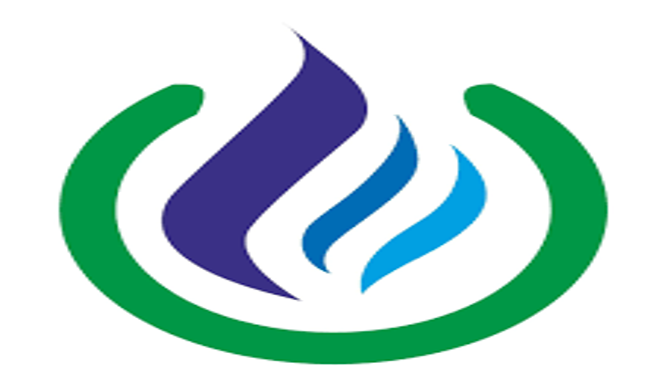 Cadila Pharmaceuticals